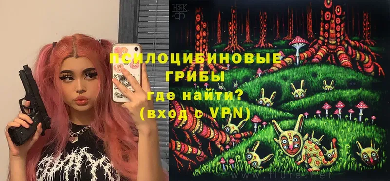 MEGA ссылка  Тимашёвск  нарко площадка формула  Псилоцибиновые грибы Cubensis 